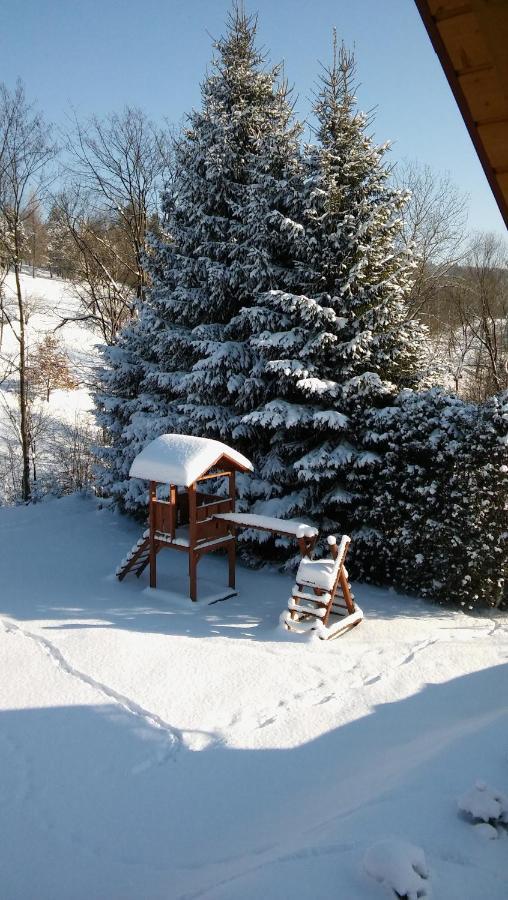 Domki Nad Stawem. Polańczyk Extérieur photo