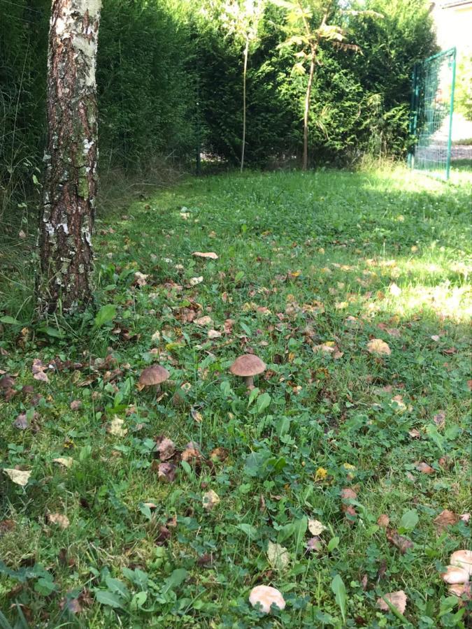 Domki Nad Stawem. Polańczyk Extérieur photo